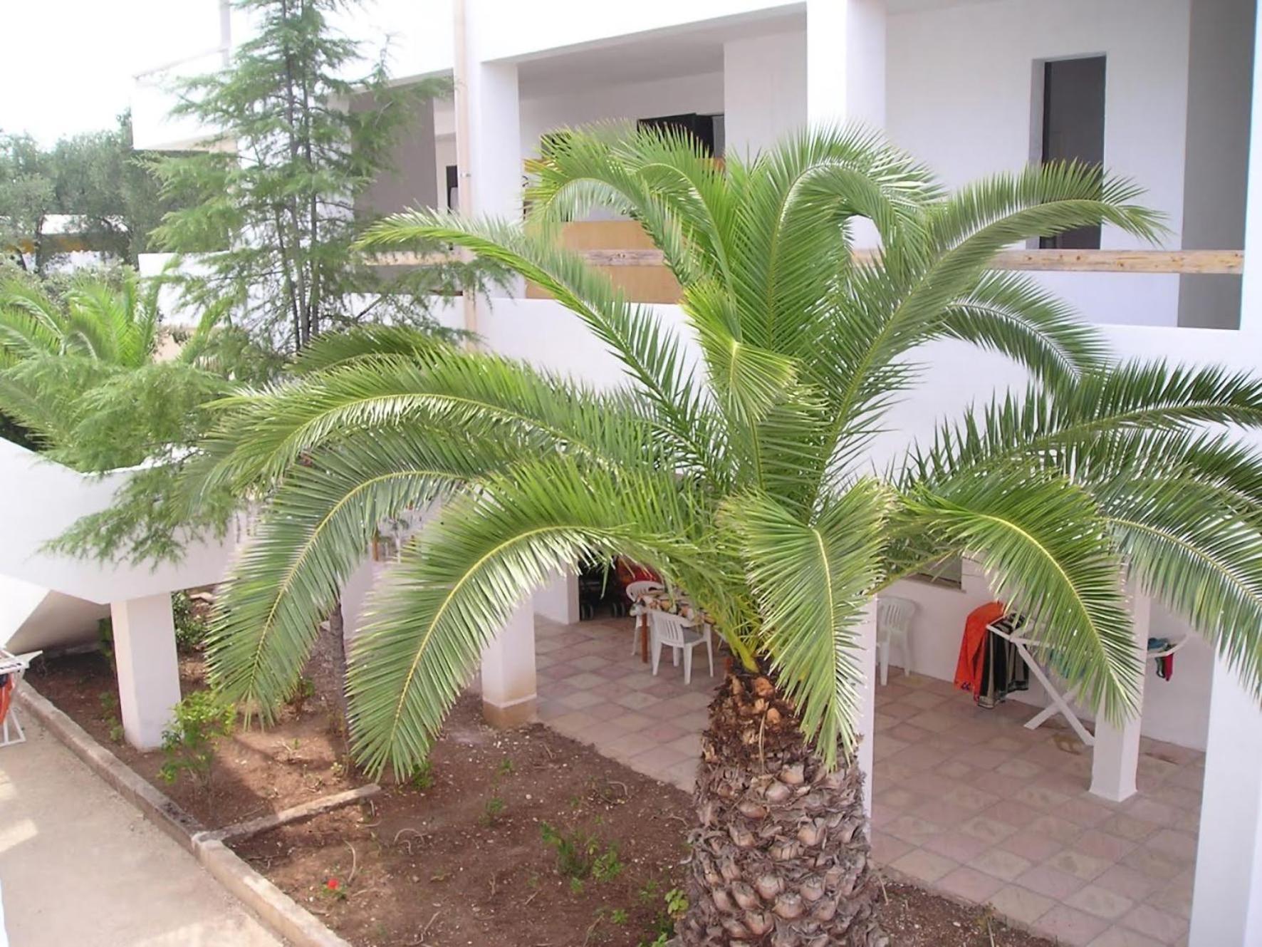 Residence Baia Del Gallo Vieste Exterior foto